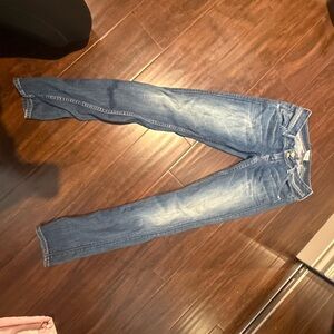 Hudson Jeans Blue Skinny Jeans